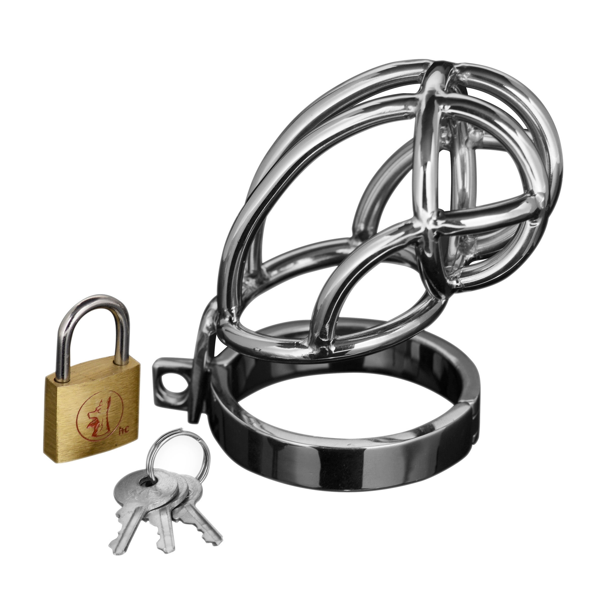 Stainless steel chastity cage with locking mechanism and keys included