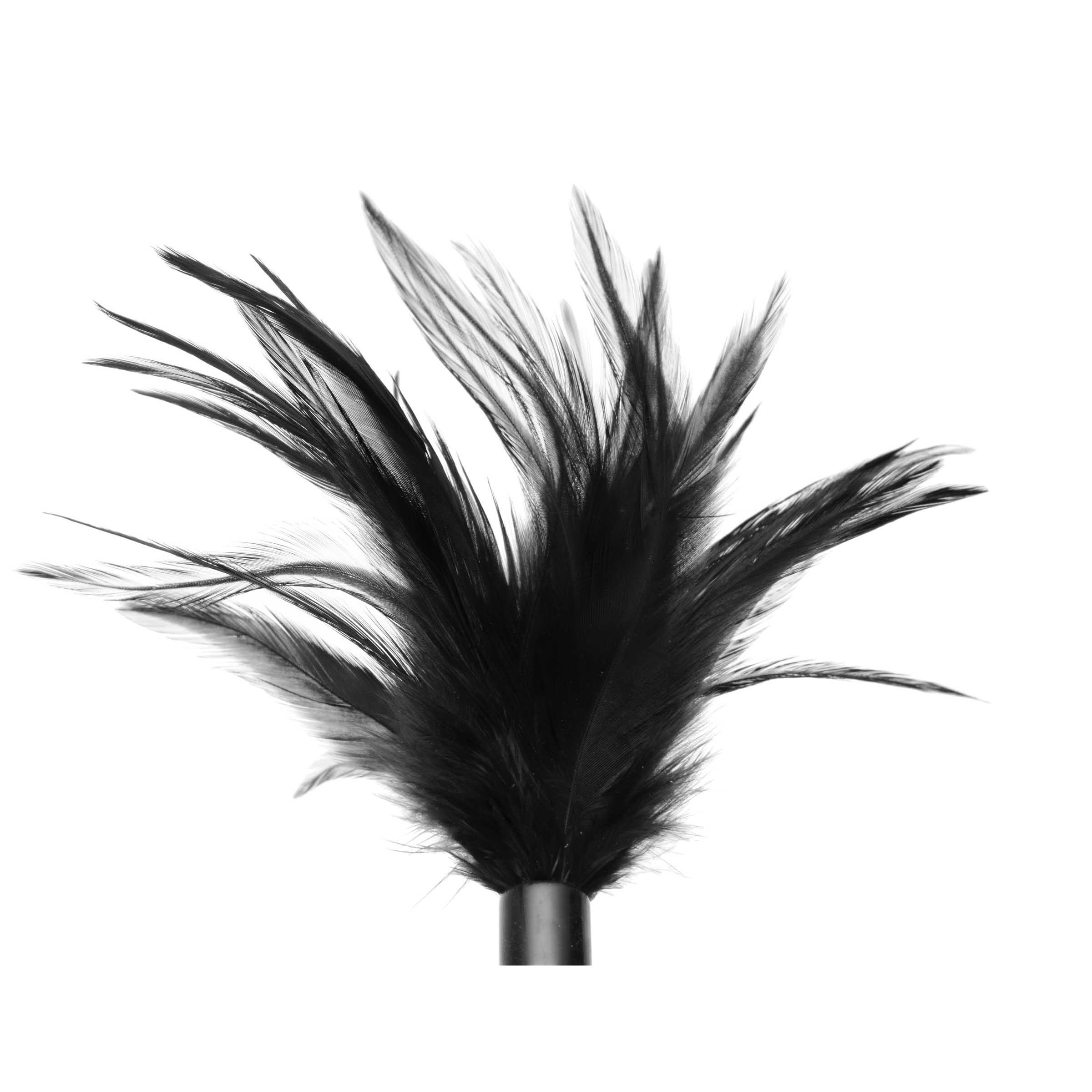 Close-up of the black feathers on the Le Plume Tickler