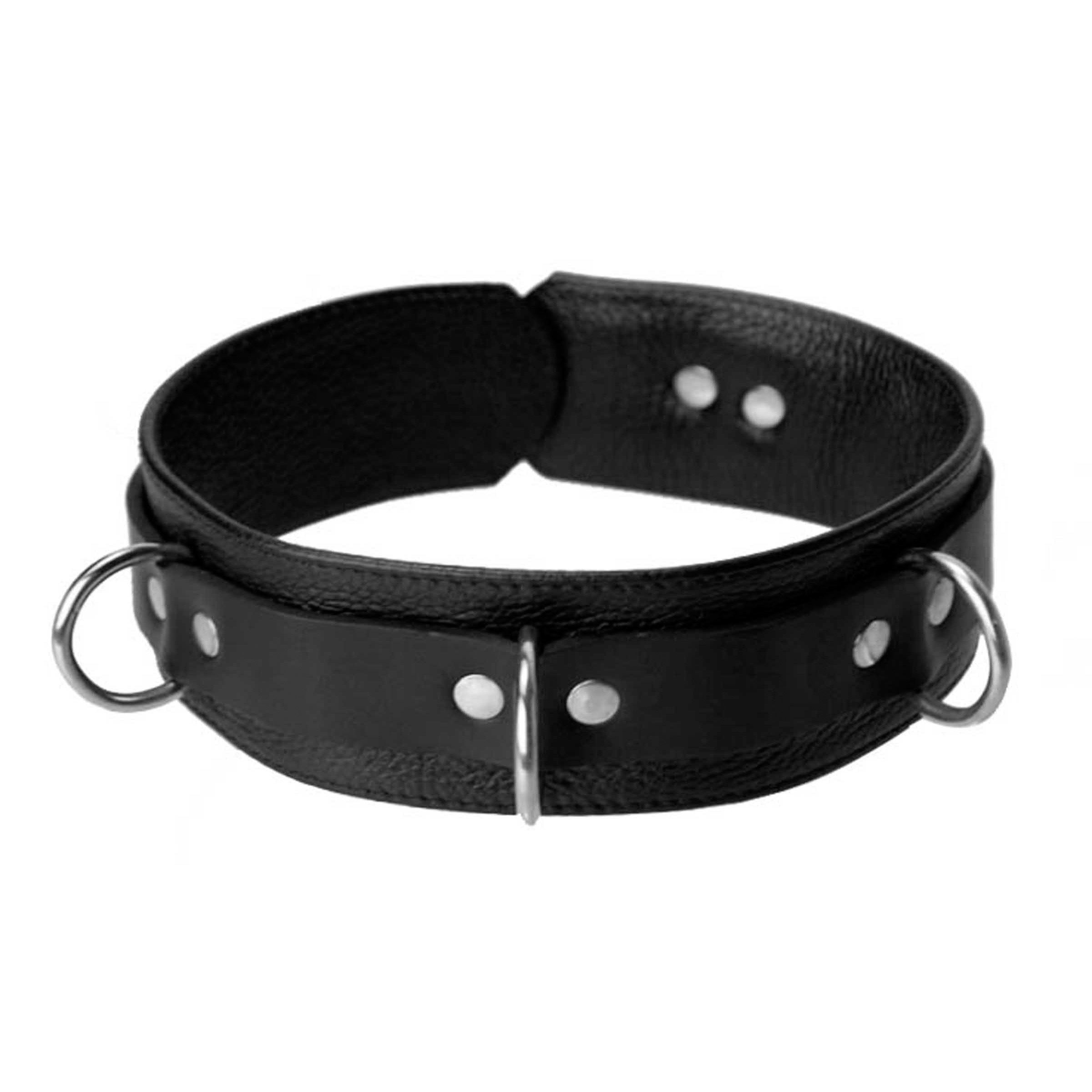 Black leather dog collar with metal rings from the Sick Puppy Leash and Collar Kit