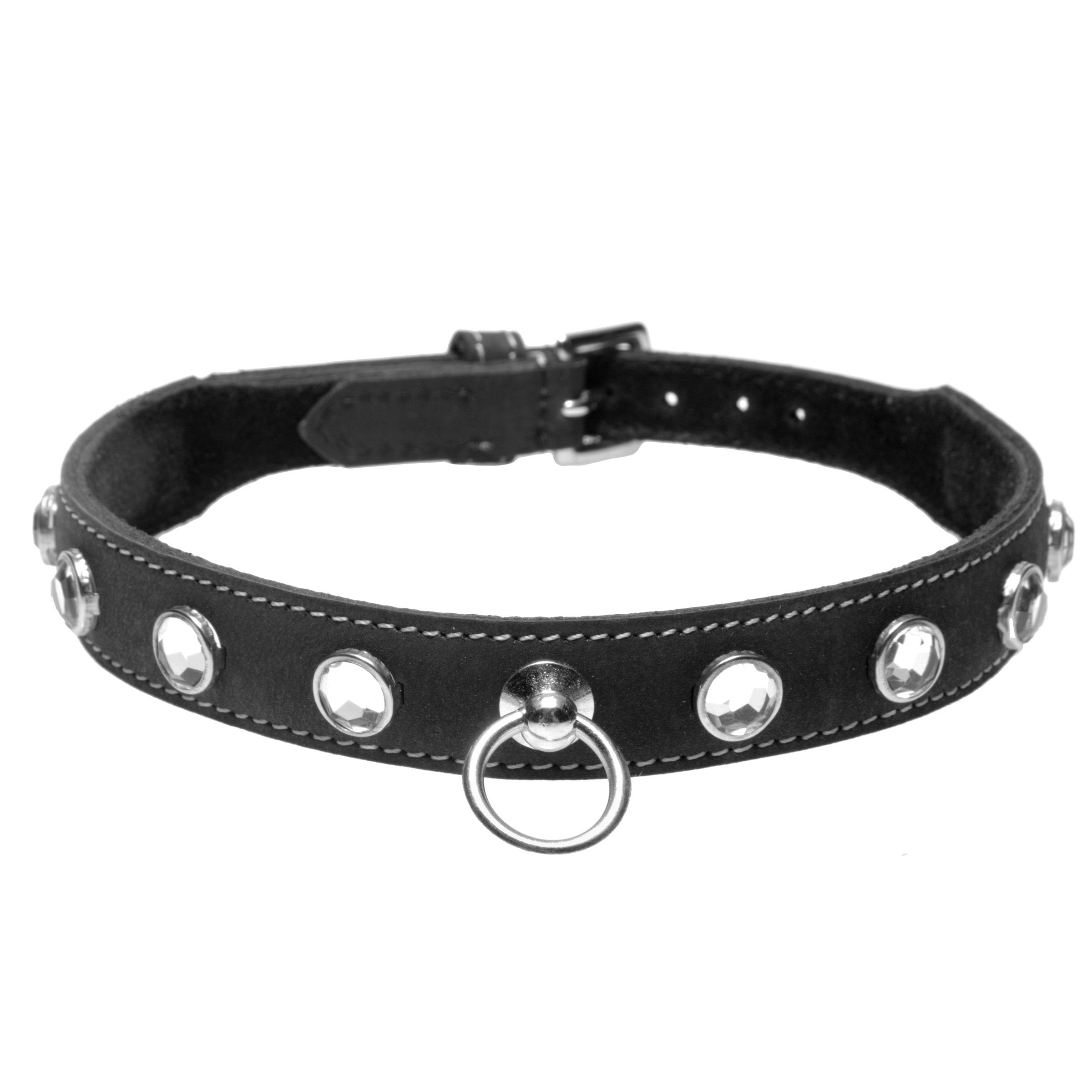 Close-up of a black leather dog collar featuring a shiny metal buckle