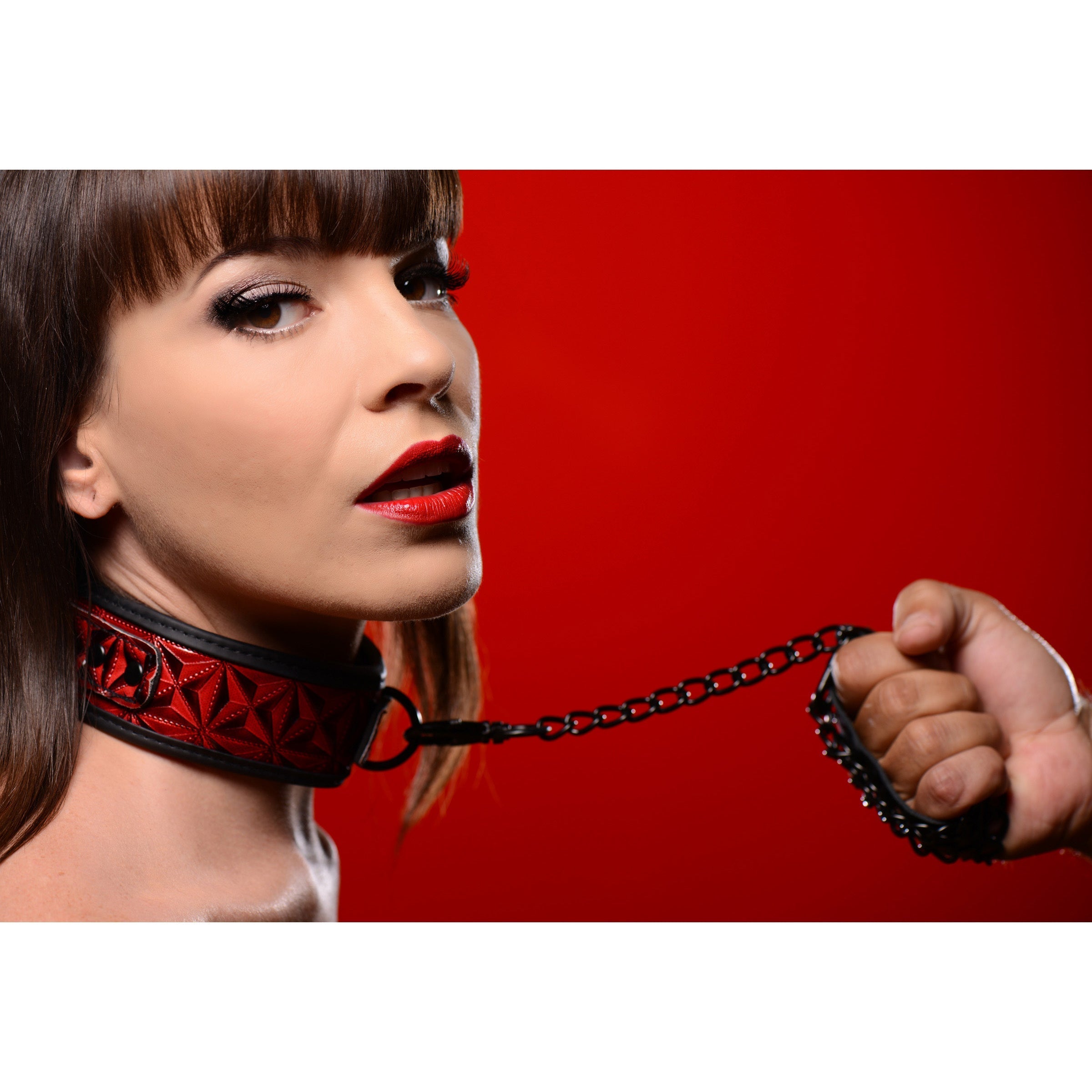 Close-up of the Crimson Tied Collar with attached leash in red and black