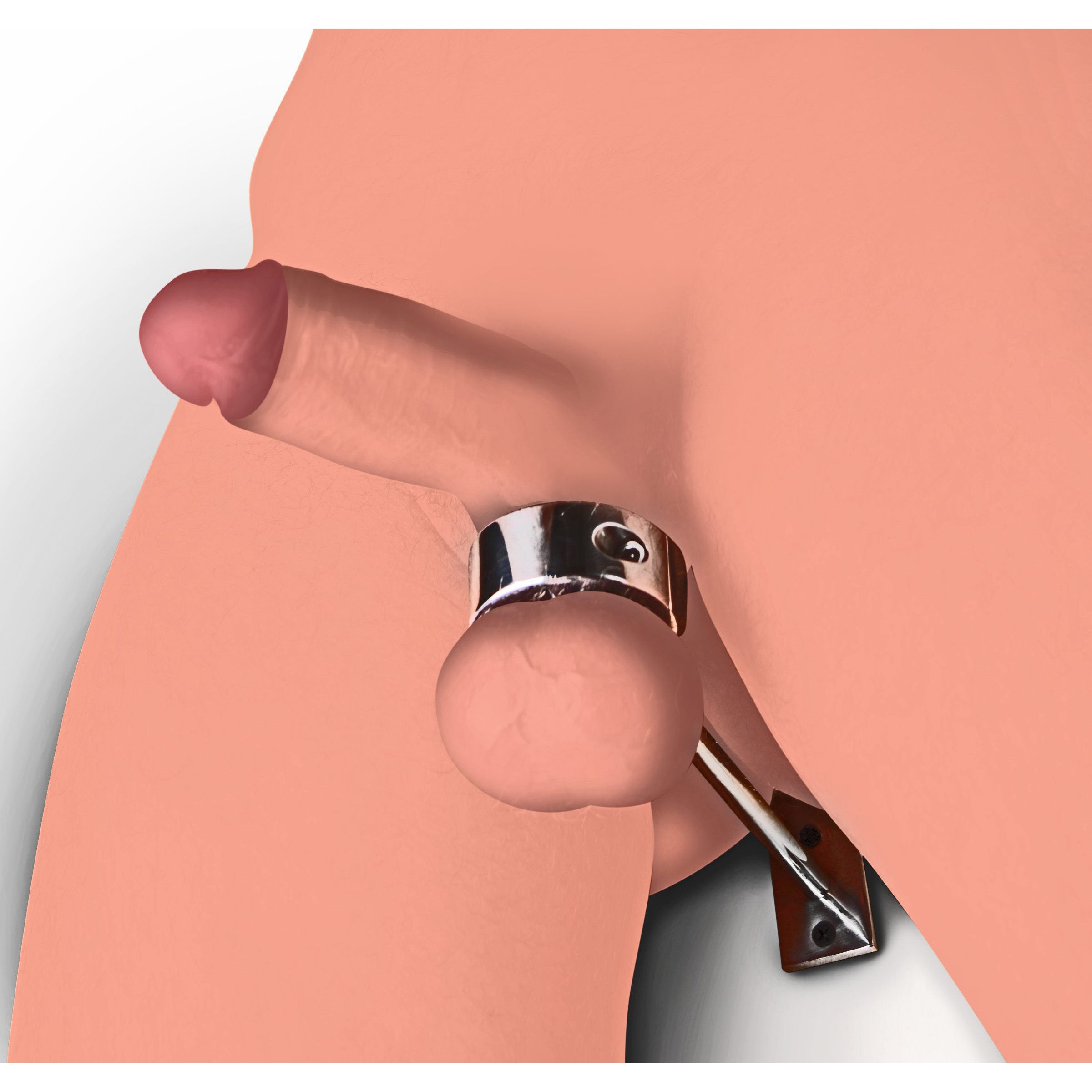 Person holding the scrotum cuff with attached metal ring to demonstrate usage