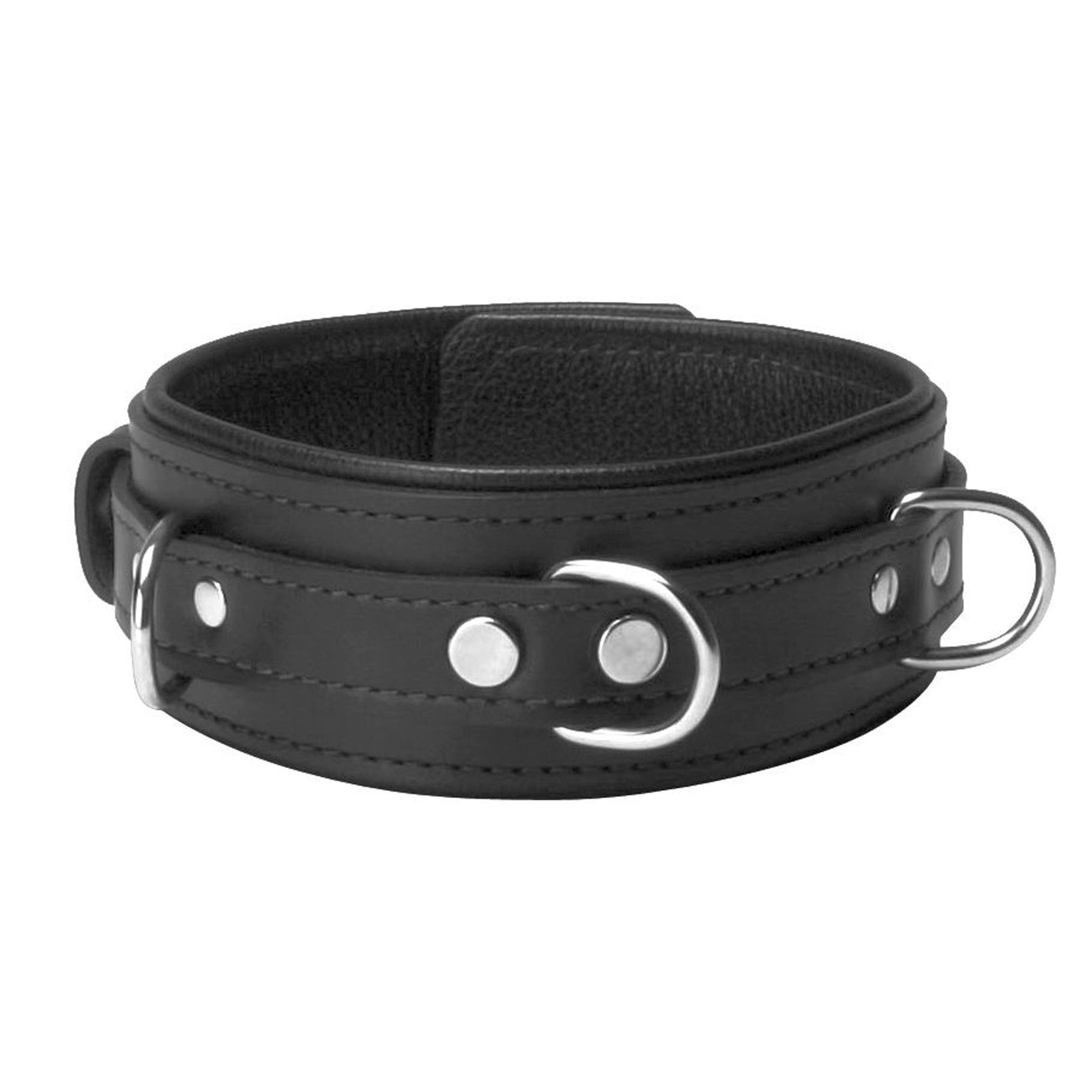 Close-up of the Arched Back Forced Posture Kit's leather collar with metal rings and buckle