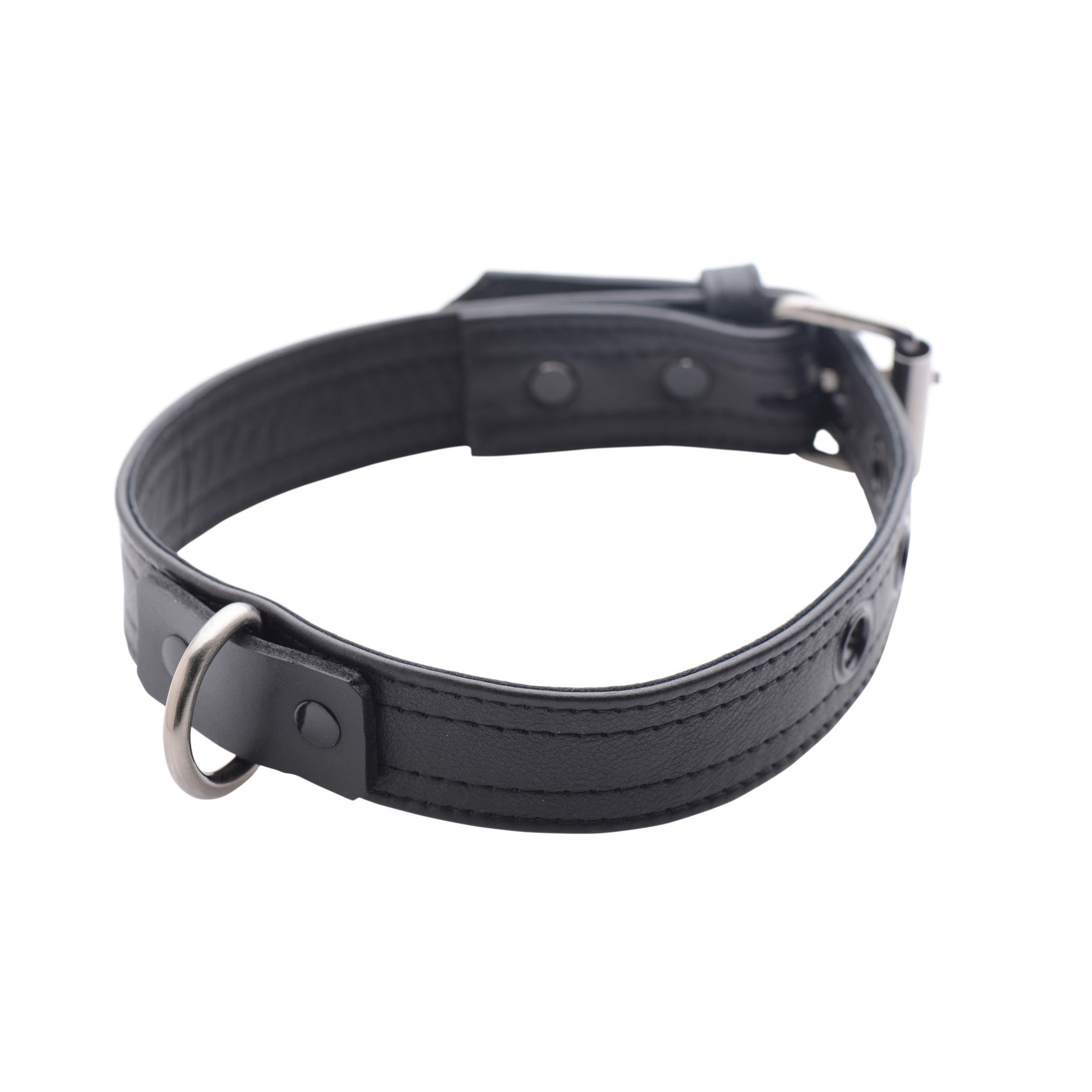 An elegant black leather collar with a shiny metal buckle, suitable for luxury wear