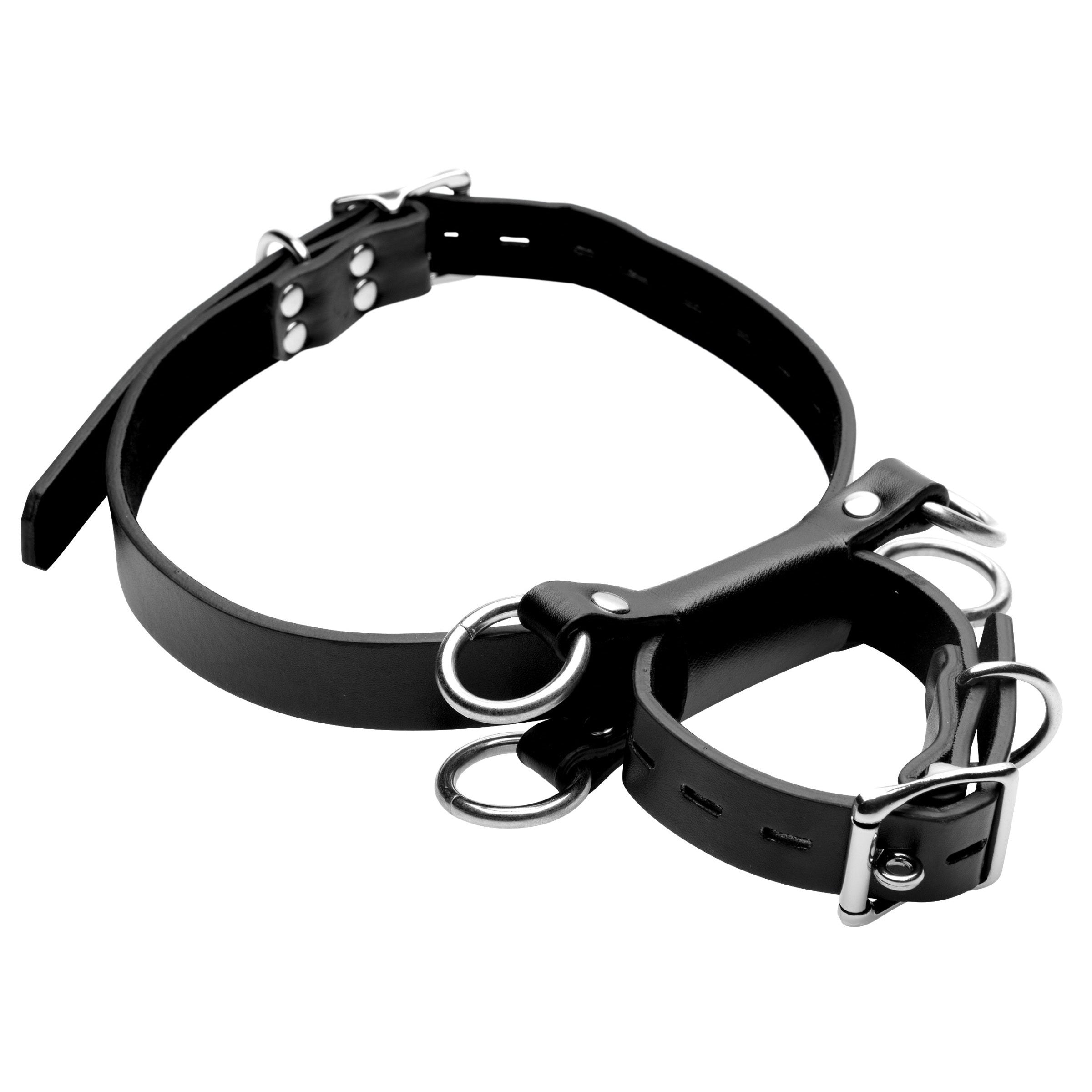 Close-up of the Frog Tie Kneeling Bondage Restraint System's black leather collar with metal rings