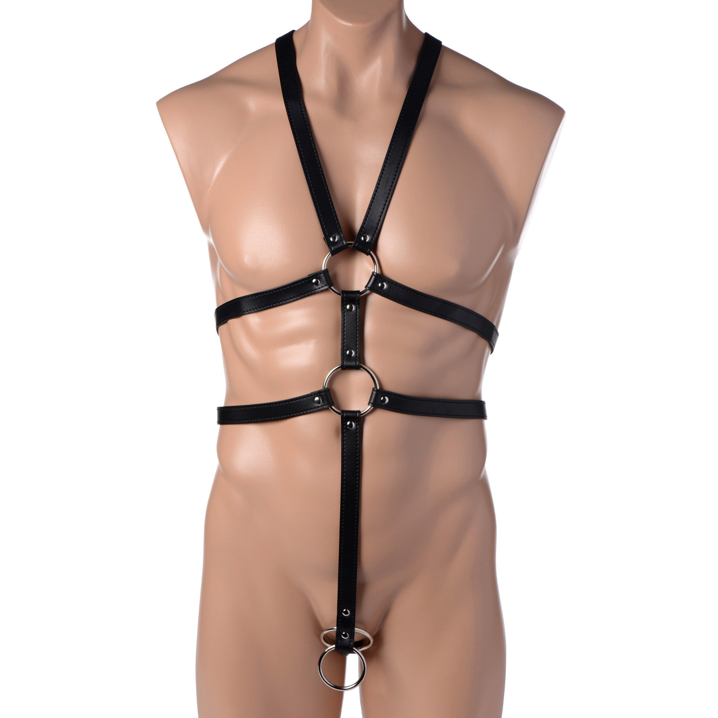 Torso of a mannequin outfitted with a black leather full body harness