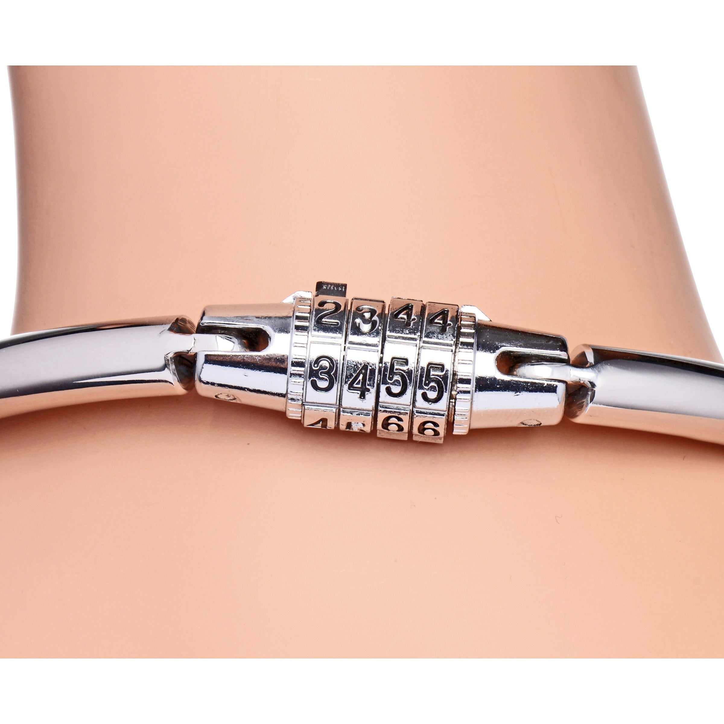 Stainless steel slave collar with a secure locking mechanism