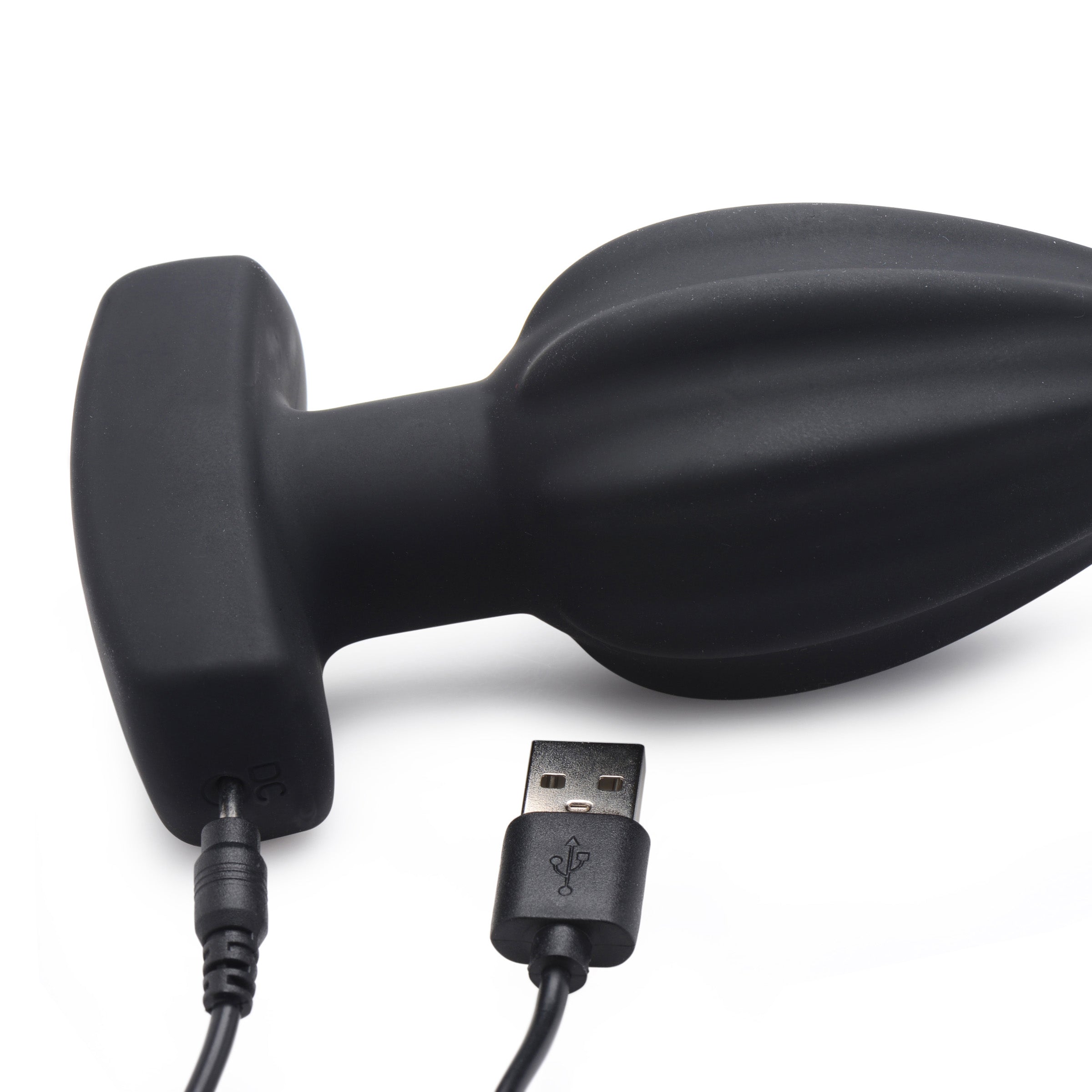 The Assterisk 10x Vibrating Butt Plug with its USB charging cable