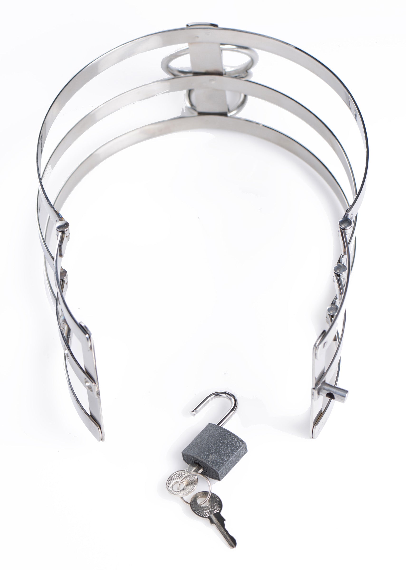 Trinity Locking Collar with included keys and integrated lock