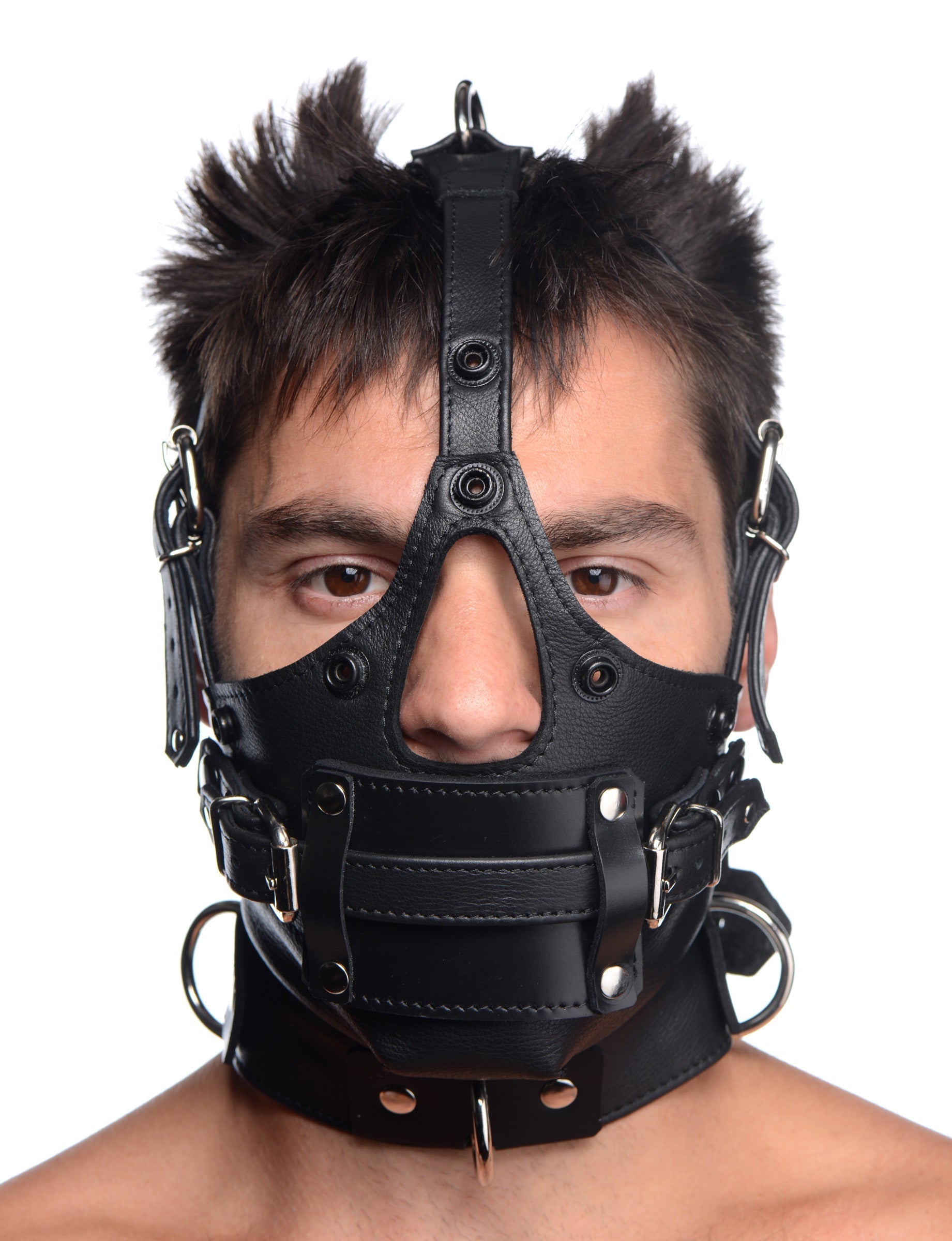 Frontal view of a leather head harness with adjustable straps and a buckle