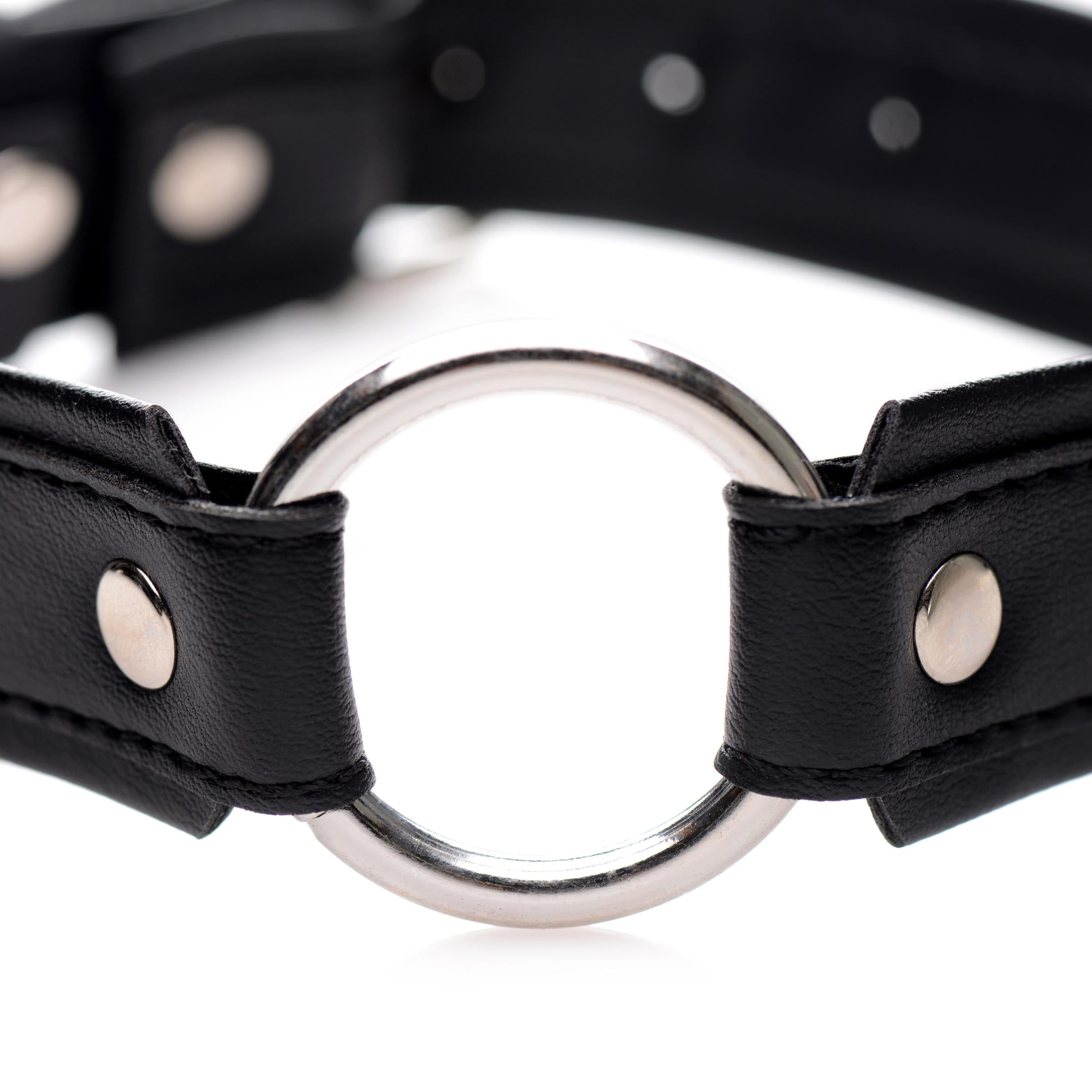 Close-up view of the O-ring detail on the black leather collar