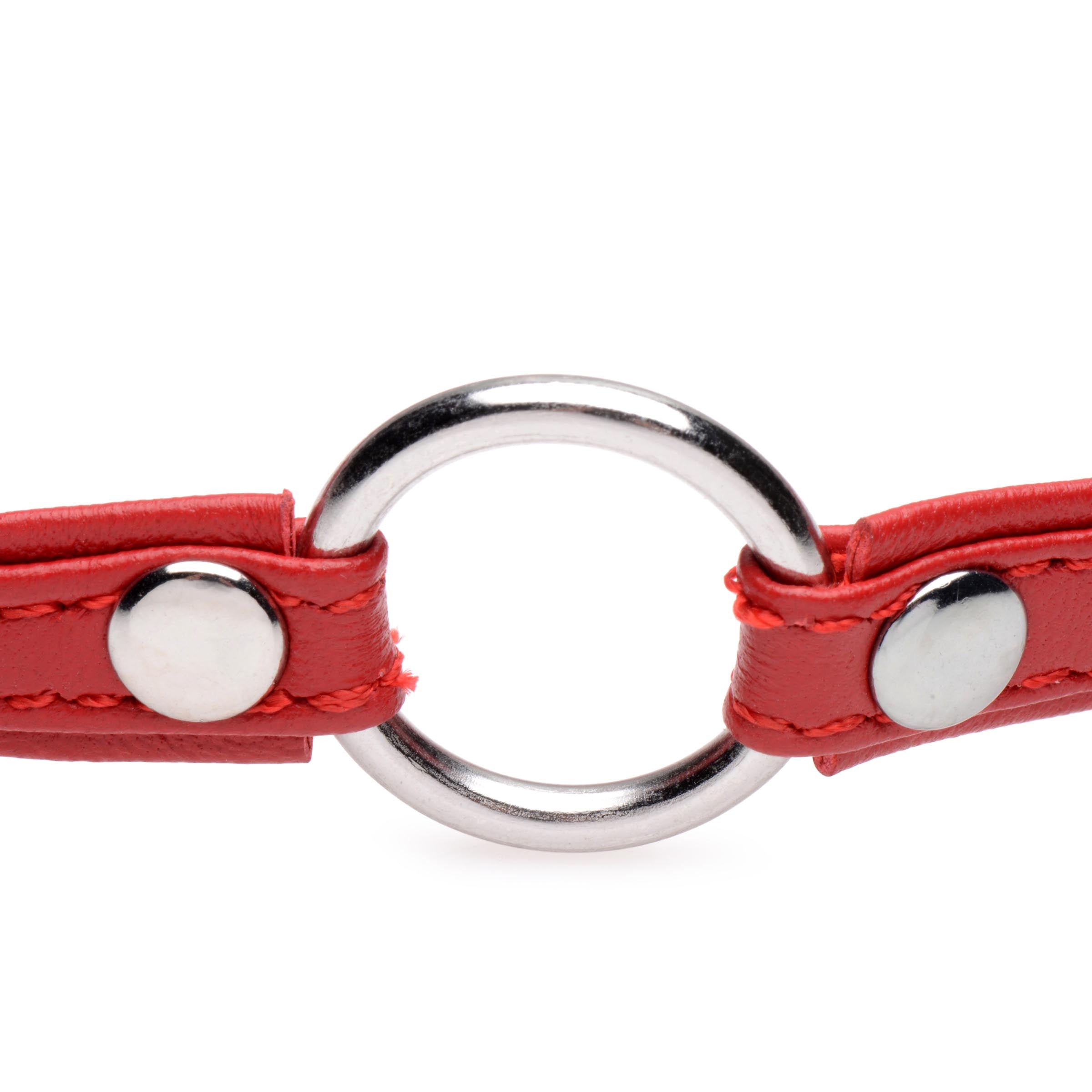 Close-up of Fiery Pet Leather Choker's silver ring clasp