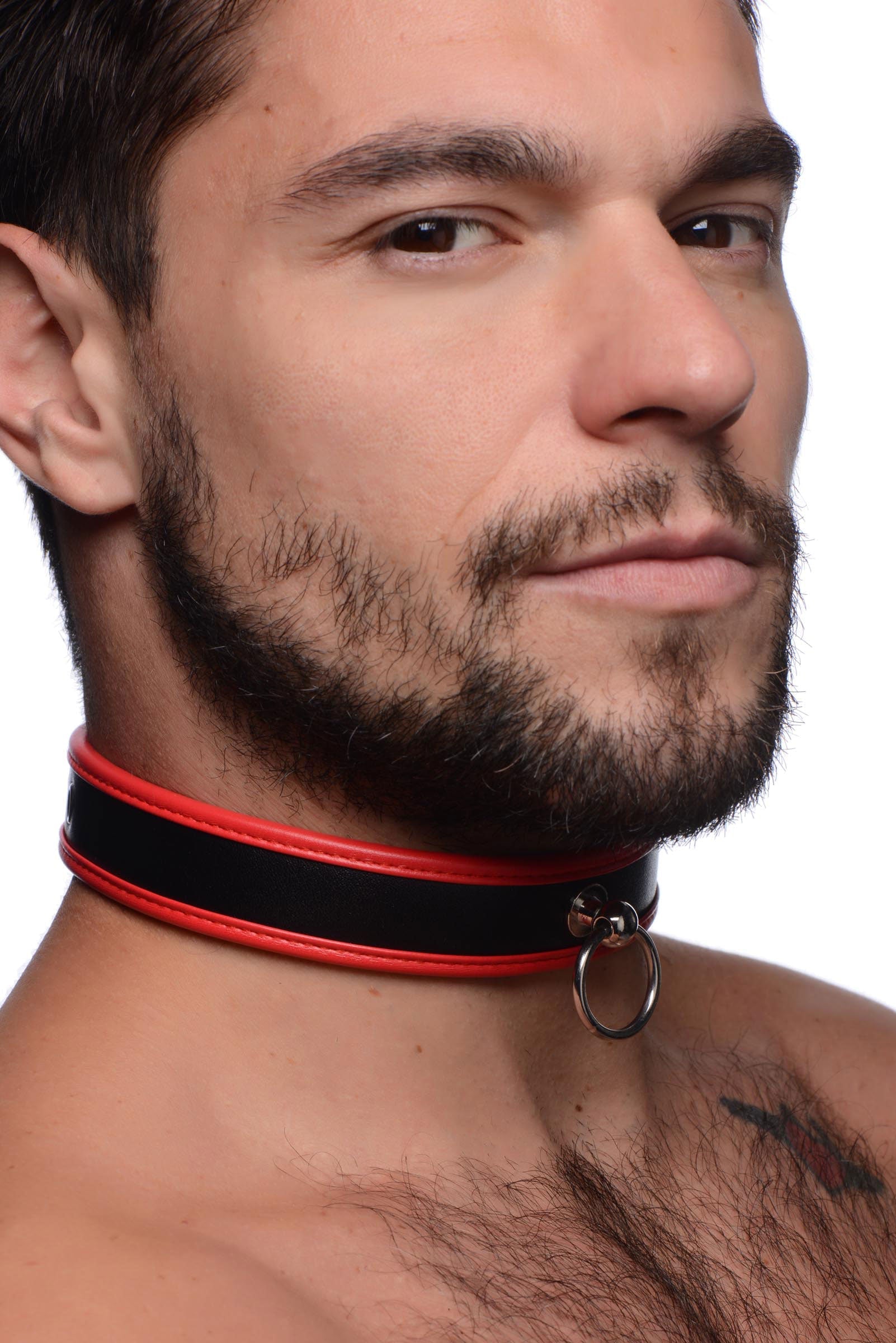 Scarlet Pet Red Collar with O-ring worn for size reference