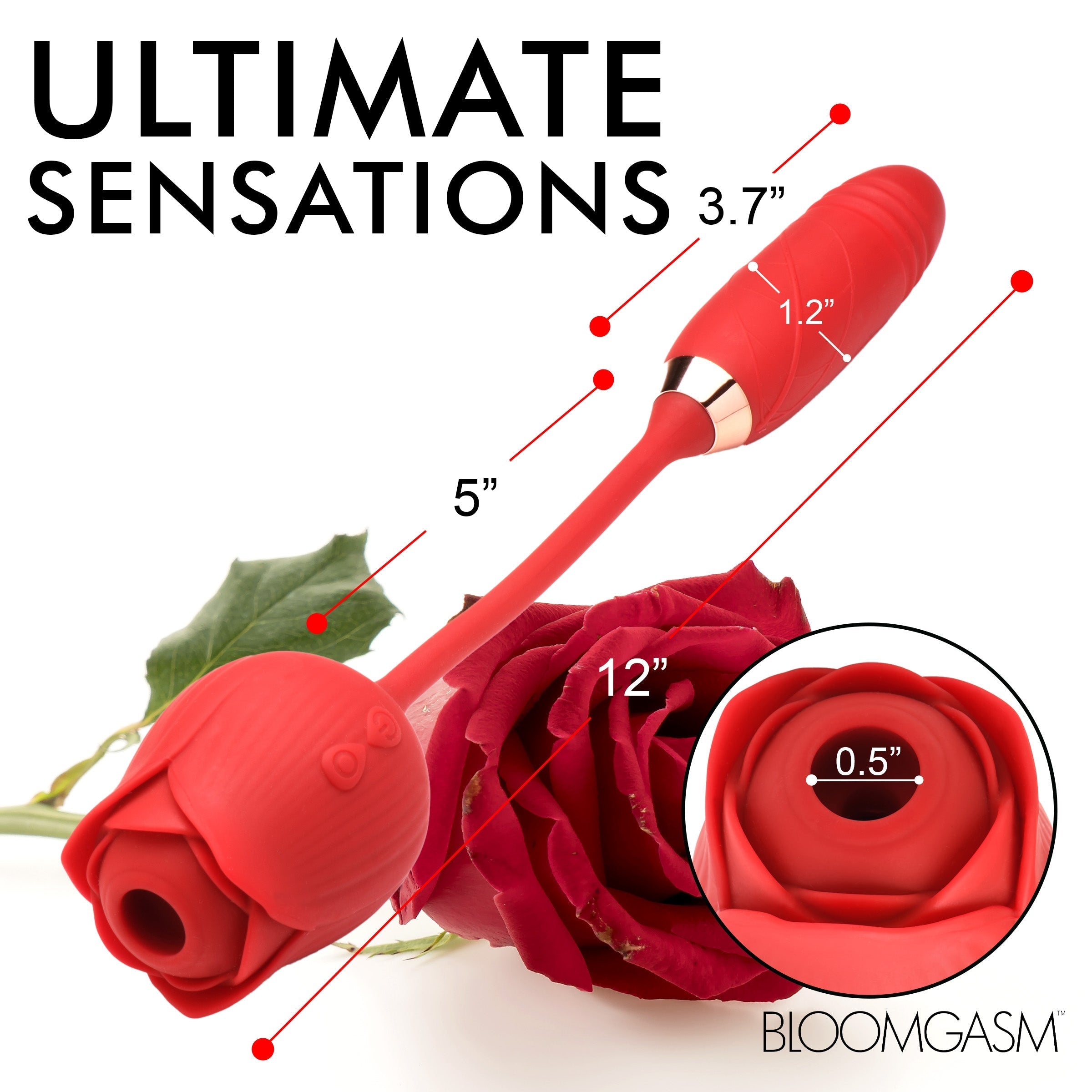 Display of the Romping Rose vibrator with dimensions indicated