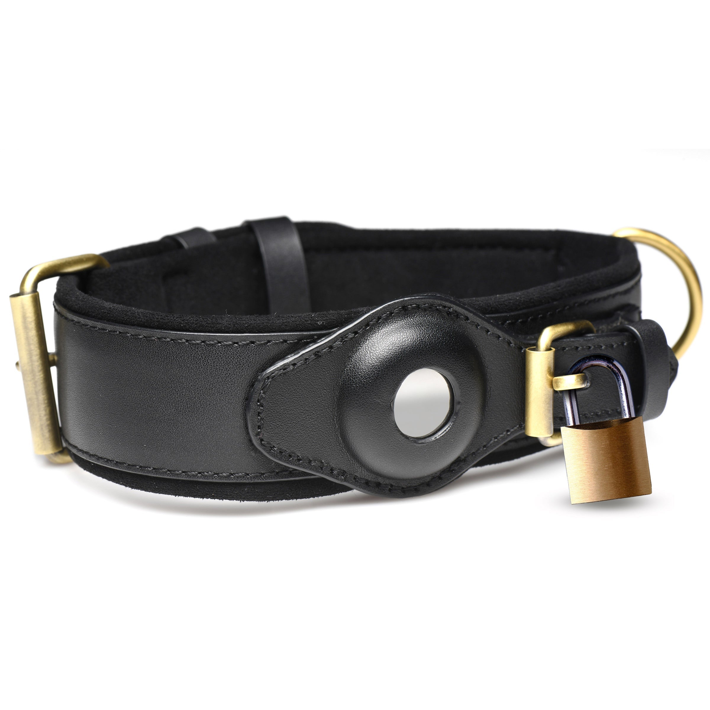 Detail of Tracer Tracking Collar featuring black leather and brass hardware