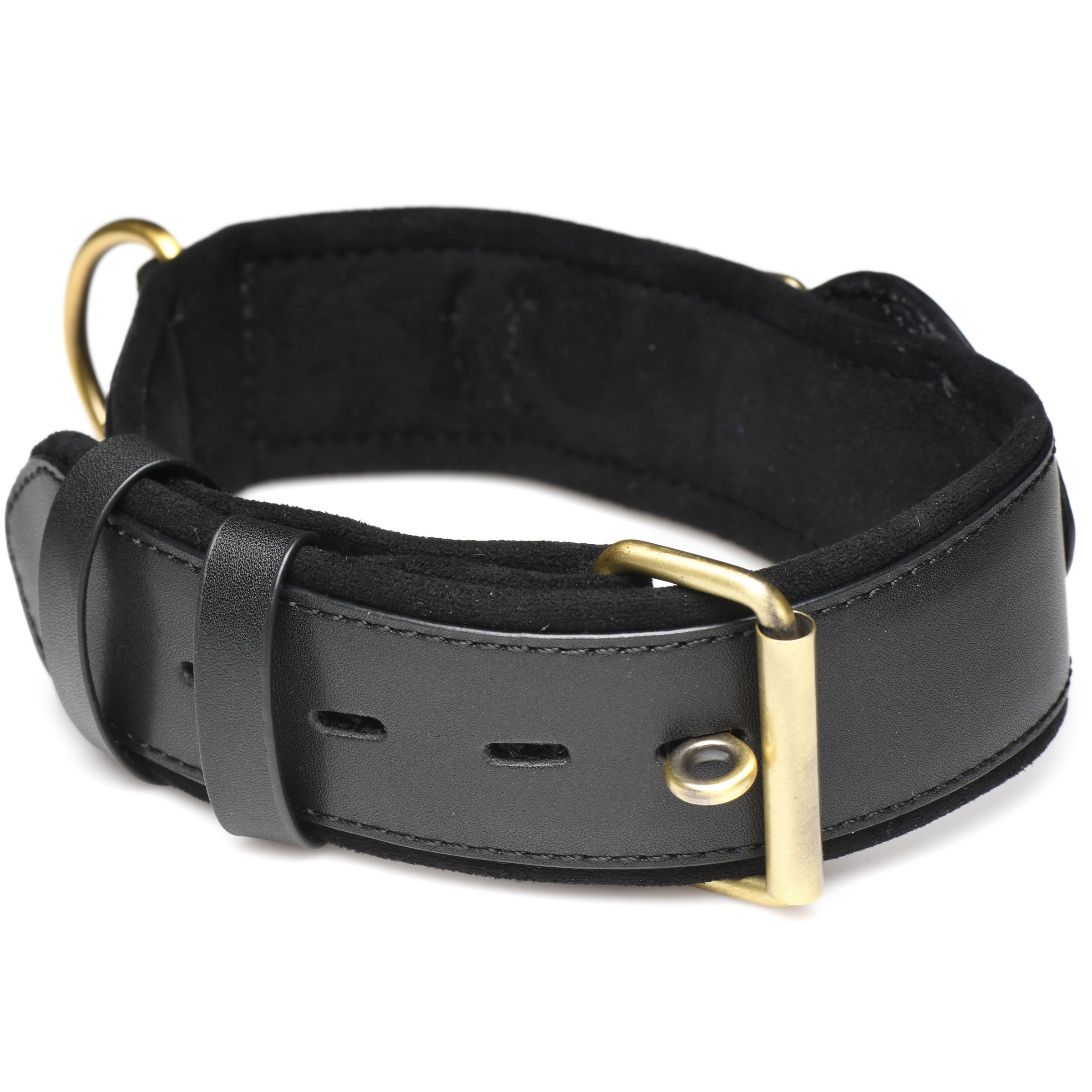 Black leather Tracer Tracking Collar with elegant gold-tone hardware and brass buckle