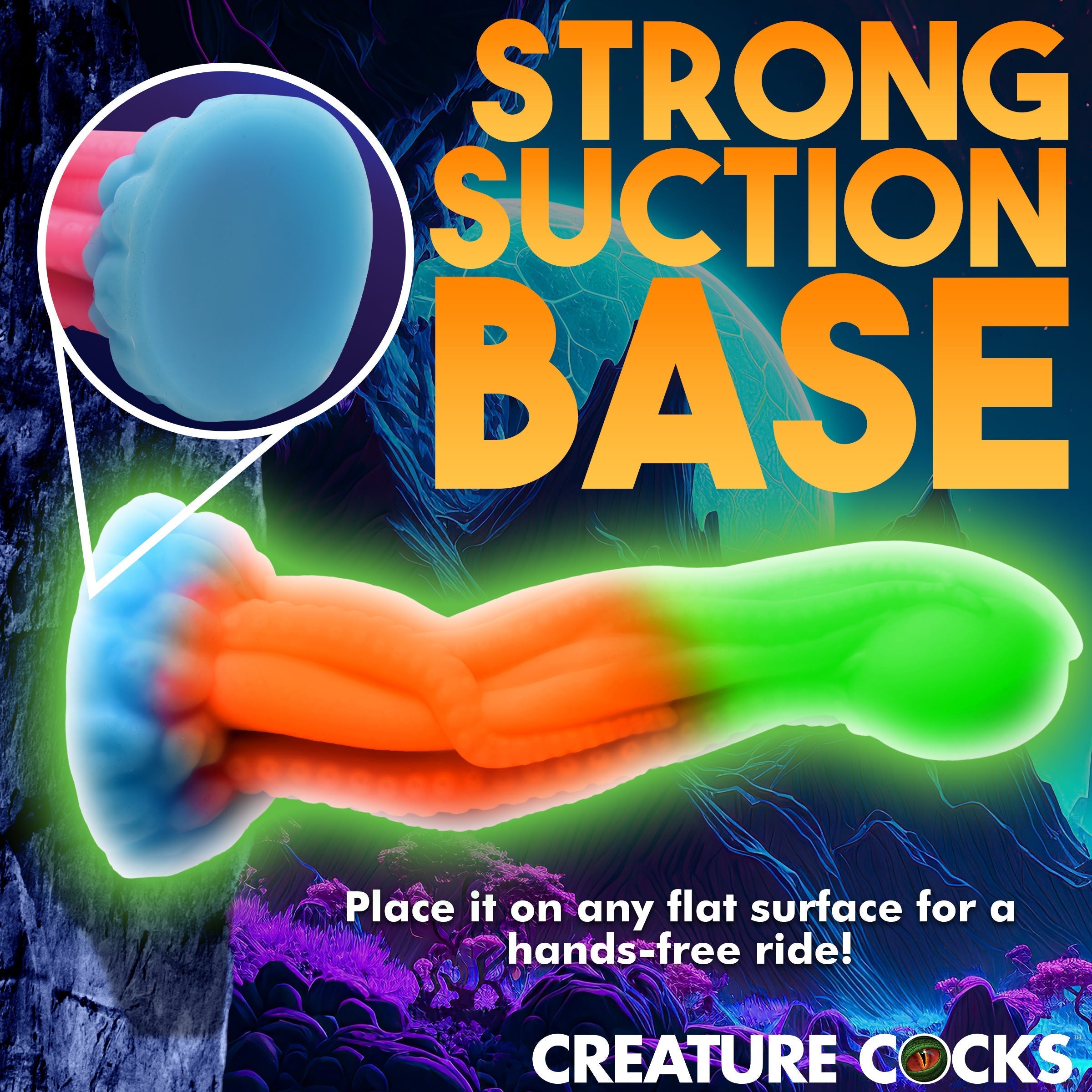 Image highlighting the strong suction base of the Tenta-glow dildo